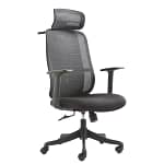 Ergonomic Chair